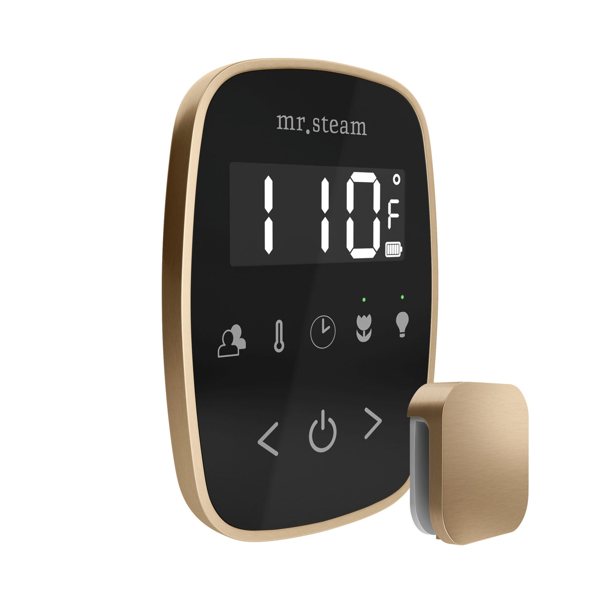 Mr.Steam TempoFlex Steam Shower Control Package