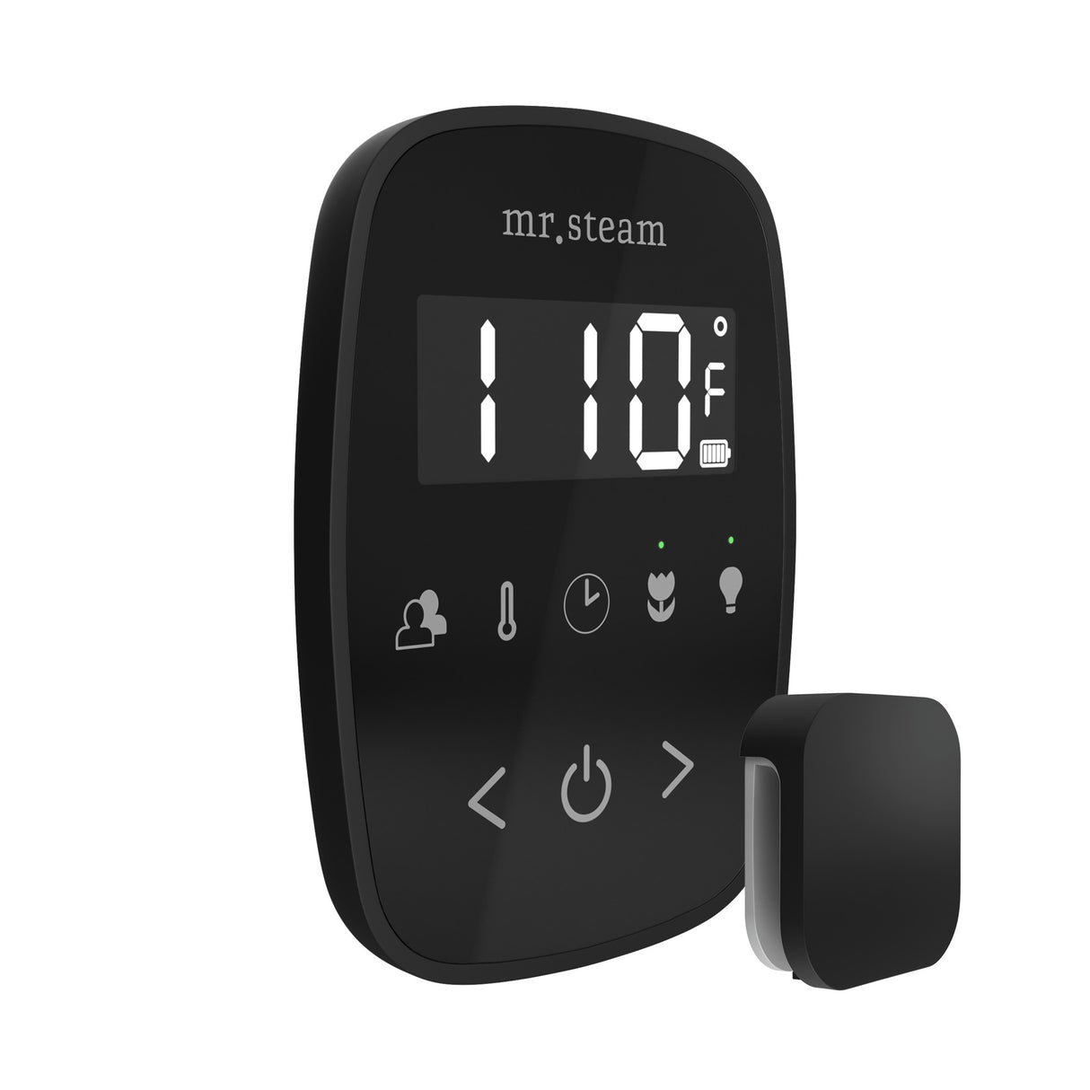 Mr.Steam TempoFlex Steam Shower Control Package