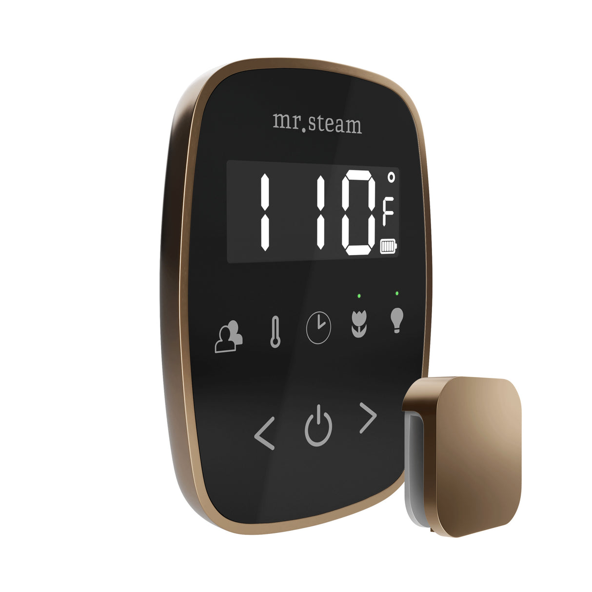 Mr.Steam TempoFlex Steam Shower Control Package