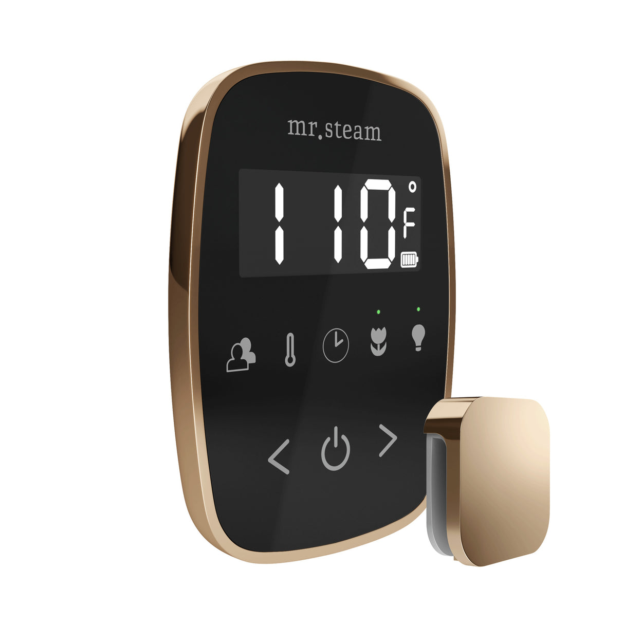 Mr.Steam TempoFlex Steam Shower Control Package