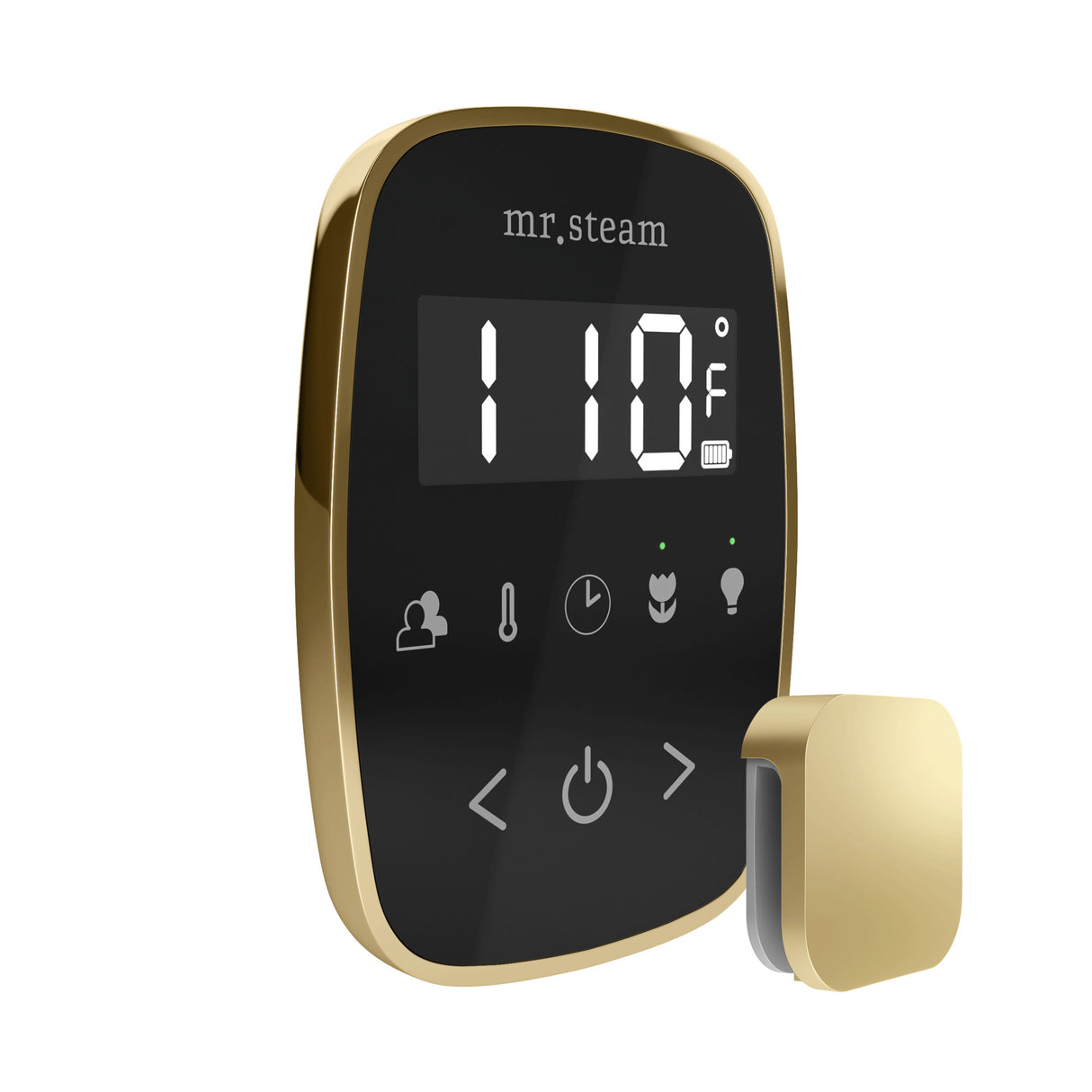 Mr.Steam TempoFlex Steam Shower Control Package