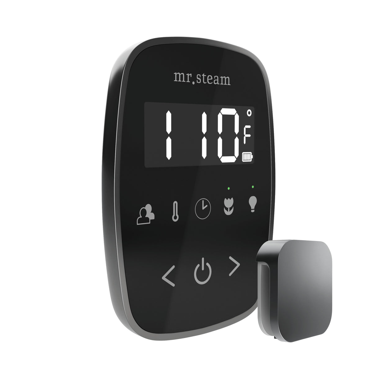 Mr.Steam TempoFlex Steam Shower Control Package