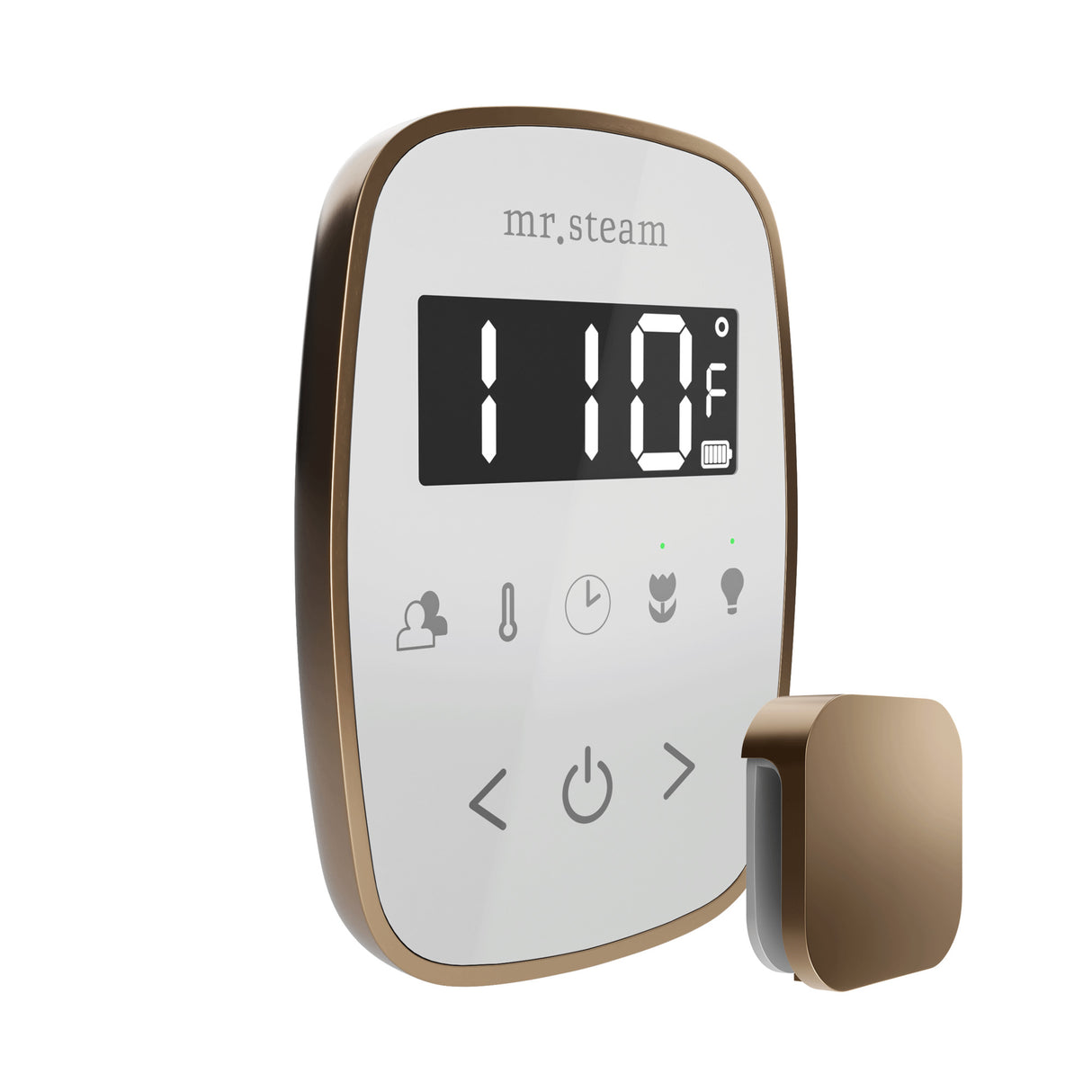 Mr.Steam TempoFlex Steam Shower Control Package