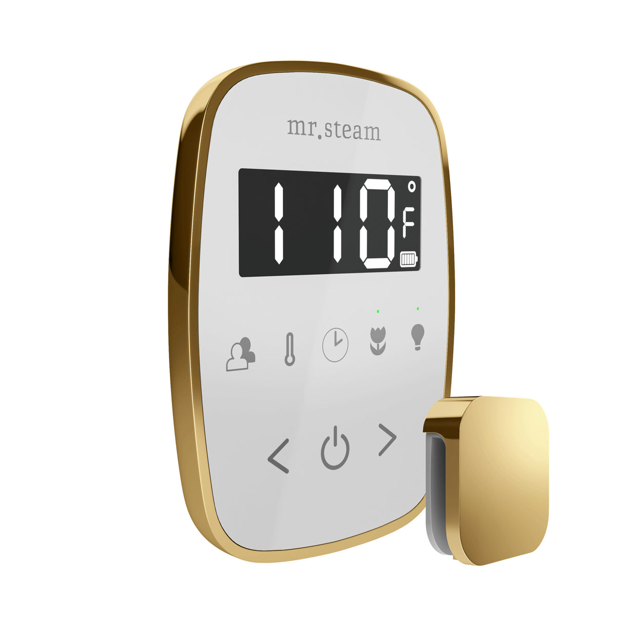 Mr.Steam TempoFlex Steam Shower Control Package