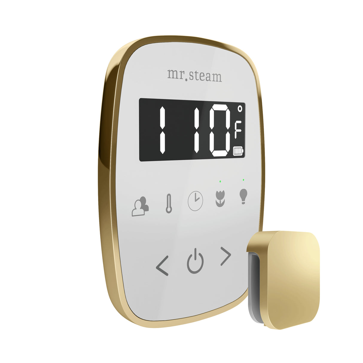 Mr.Steam TempoFlex Steam Shower Control Package