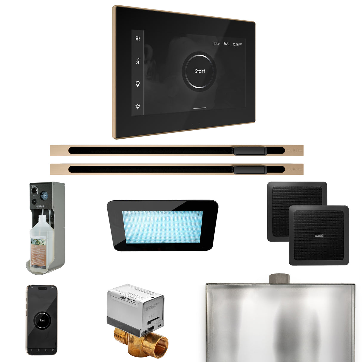 Mr.Steam xDream Max Linear Steam Shower Control Package