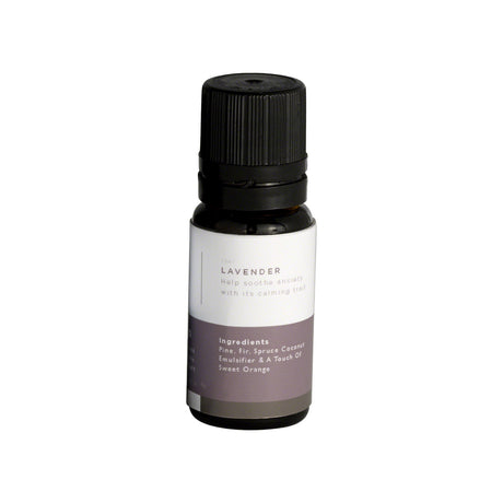 Mr Steam Essential Aroma Oil - 10 ml