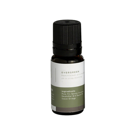 Mr Steam Essential Aroma Oil - 10 ml