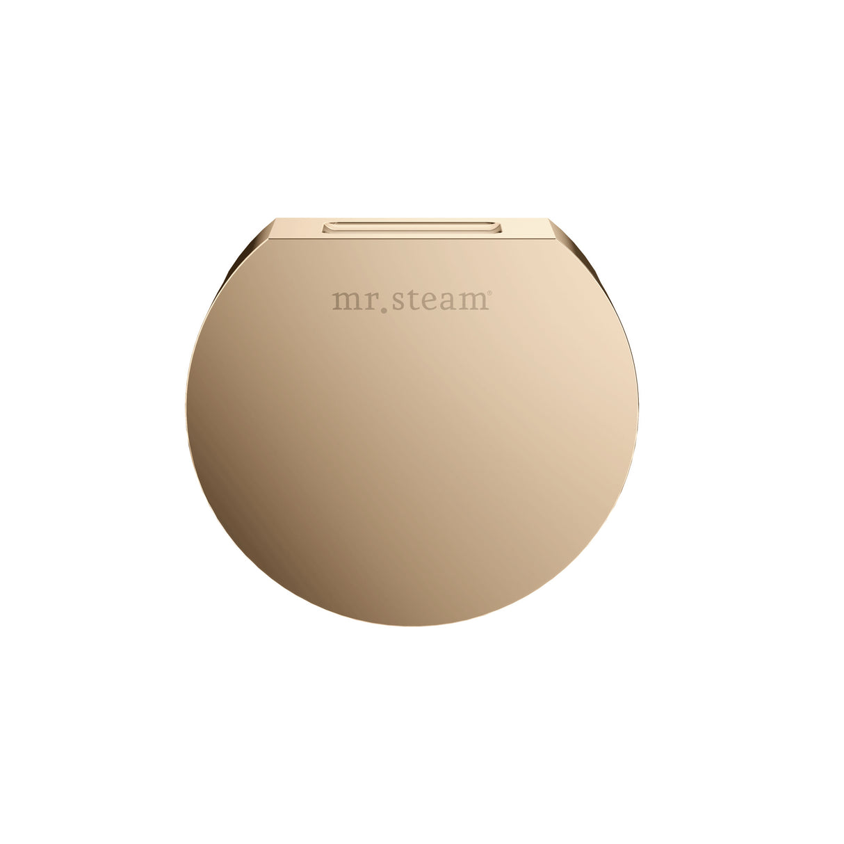 Mr.Steam Aroma Designer SteamHead