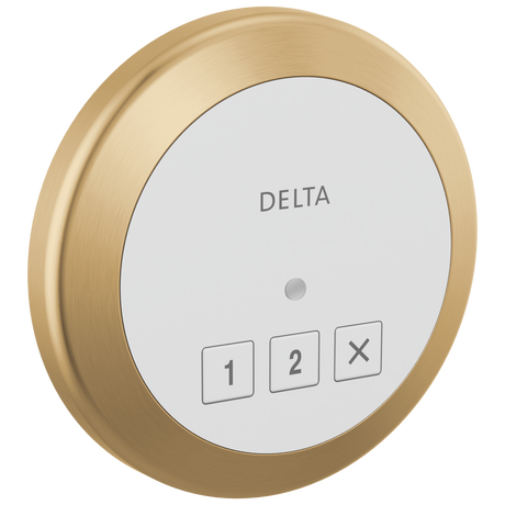 Delta SteamScape Classic Exterior Control