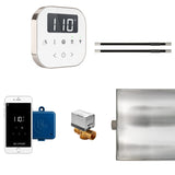 Mr.Steam AirButler Max Linear Steam Shower Control Package