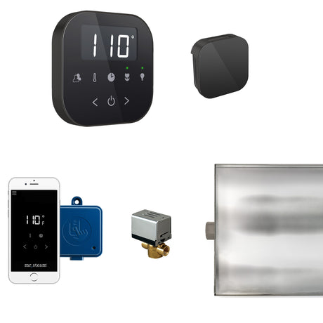 Mr.Steam AirButler Aroma Glass Steam Shower Control Package