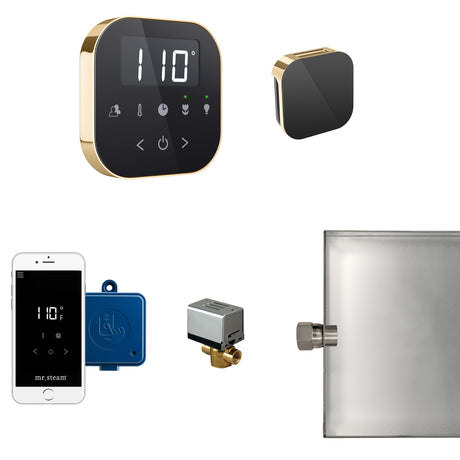 Mr.Steam AirButler Aroma Glass Steam Shower Control Package