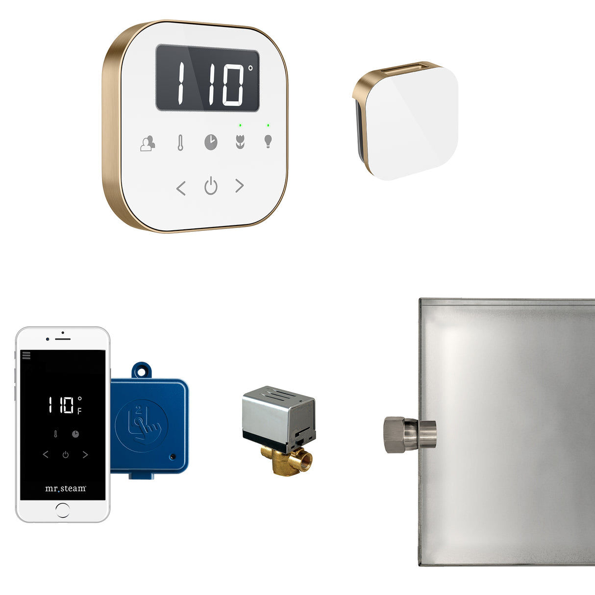 Mr.Steam AirButler Aroma Glass Steam Shower Control Package