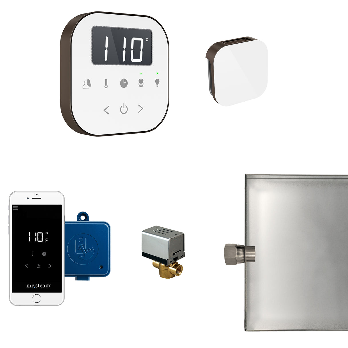 Mr.Steam AirButler Aroma Glass Steam Shower Control Package