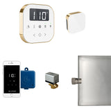 Mr.Steam AirButler Aroma Glass Steam Shower Control Package