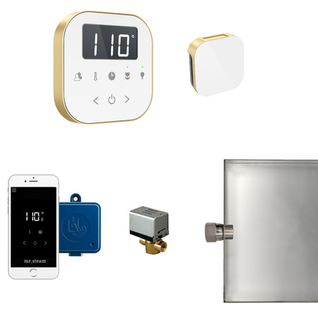 Mr.Steam AirButler Aroma Glass Steam Shower Control Package