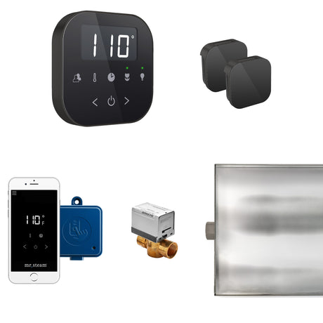 Mr.Steam AirButler Max Aroma Glass Steam Shower Control Package