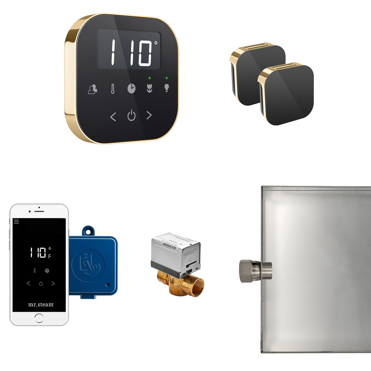 Mr.Steam AirButler Max Aroma Glass Steam Shower Control Package