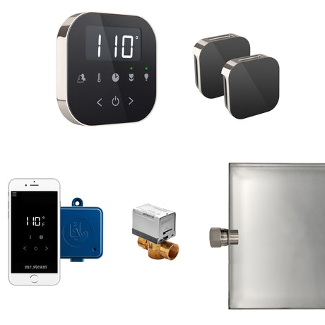 Mr.Steam AirButler Max Aroma Glass Steam Shower Control Package