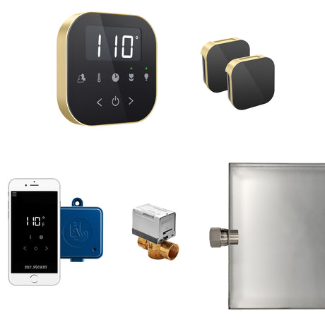 Mr.Steam AirButler Max Aroma Glass Steam Shower Control Package
