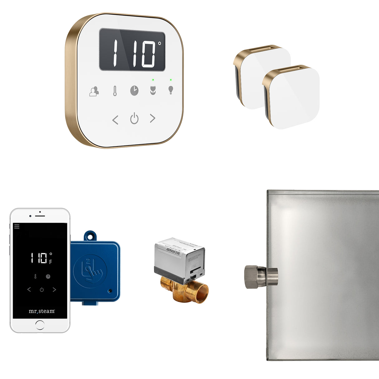 Mr.Steam AirButler Max Aroma Glass Steam Shower Control Package
