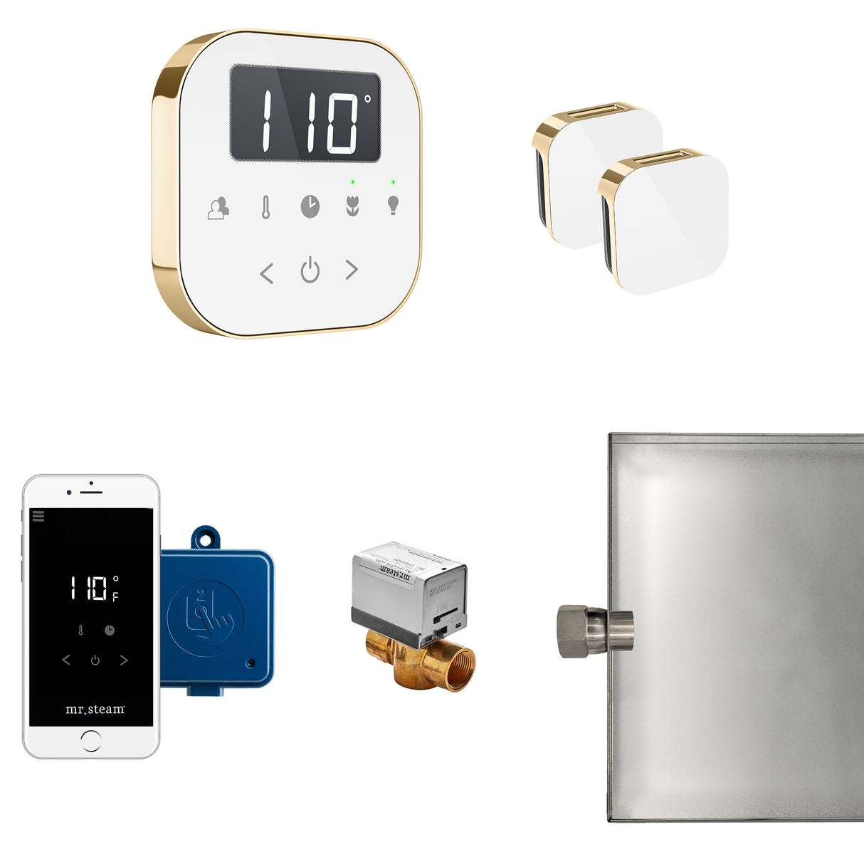 Mr.Steam AirButler Max Aroma Glass Steam Shower Control Package