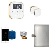 Mr.Steam AirButler Max Aroma Glass Steam Shower Control Package