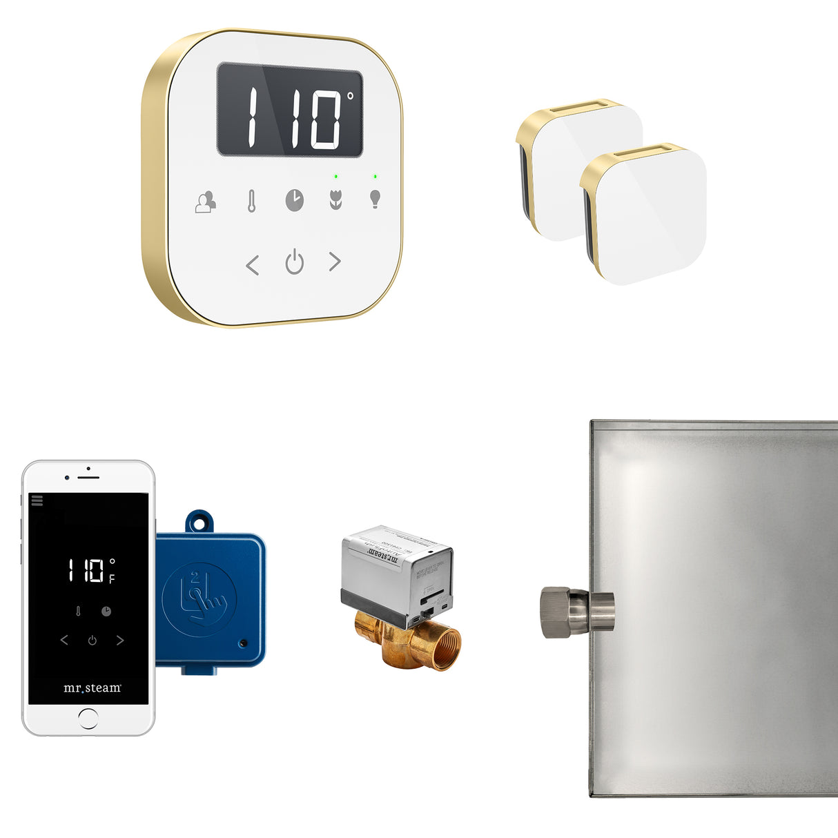 Mr.Steam AirButler Max Aroma Glass Steam Shower Control Package
