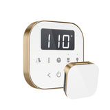 Mr.Steam AirTempo Steam Shower Control