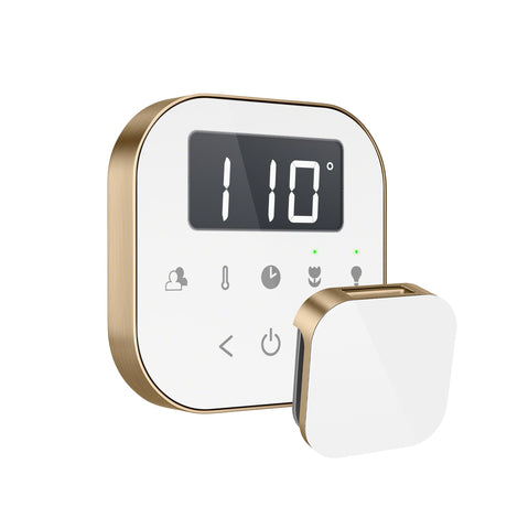 Mr.Steam AirTempo Steam Shower Control