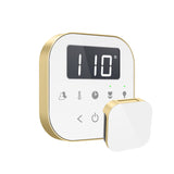 Mr.Steam AirTempo Steam Shower Control