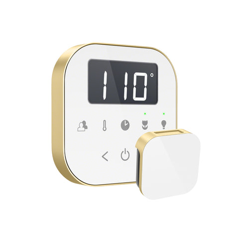 Mr.Steam AirTempo Steam Shower Control