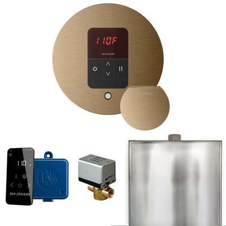 Mr.Steam Basic Butler Aroma Designer Steam Shower Control Package