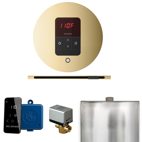Mr.Steam Basic Butler Linear Steam Shower Control Package