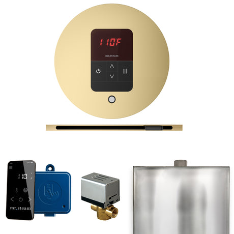 Mr.Steam Basic Butler Linear Steam Shower Control Package