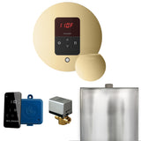 Mr.Steam Basic Butler Aroma Designer Steam Shower Control Package