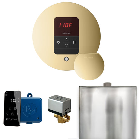 Mr.Steam Basic Butler Aroma Designer Steam Shower Control Package