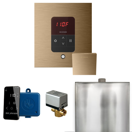 Mr.Steam Basic Butler Aroma Designer Steam Shower Control Package