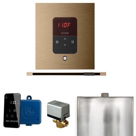 Mr.Steam Basic Butler Linear Steam Shower Control Package