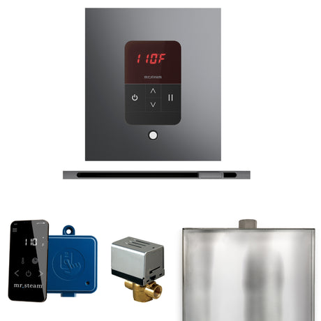 Mr.Steam Basic Butler Linear Steam Shower Control Package