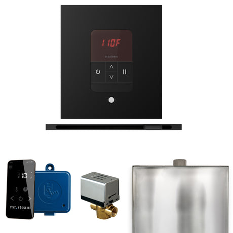 Mr.Steam Basic Butler Linear Steam Shower Control Package