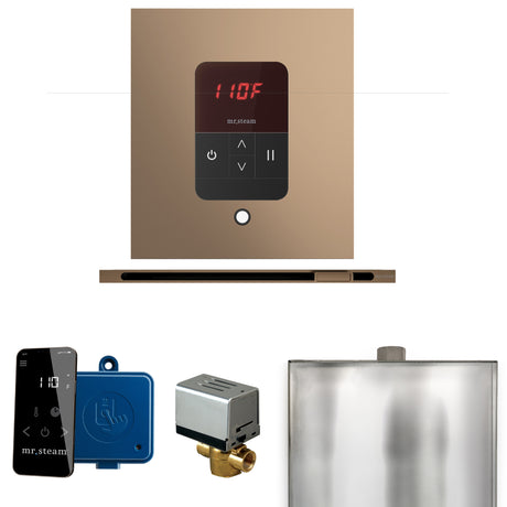 Mr.Steam Basic Butler Linear Steam Shower Control Package
