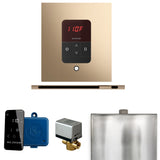 Mr.Steam Basic Butler Linear Steam Shower Control Package