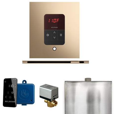 Mr.Steam Basic Butler Linear Steam Shower Control Package
