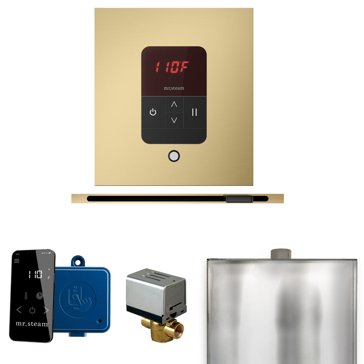 Mr.Steam Basic Butler Linear Steam Shower Control Package