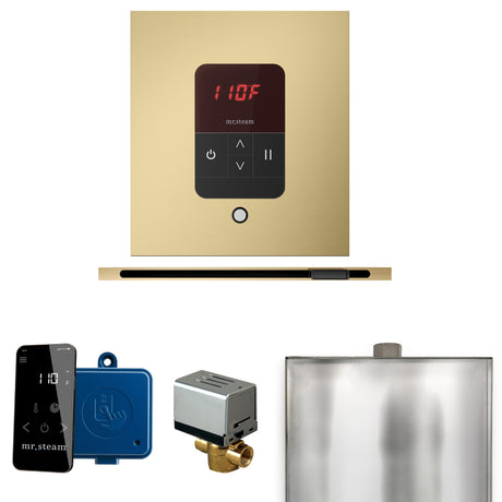 Mr.Steam Basic Butler Linear Steam Shower Control Package