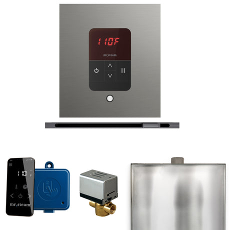 Mr.Steam Basic Butler Linear Steam Shower Control Package