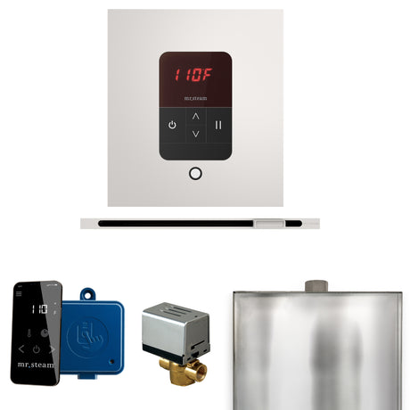 Mr.Steam Basic Butler Linear Steam Shower Control Package