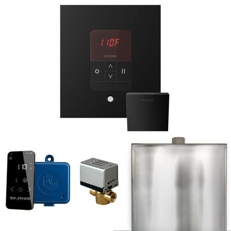 Mr.Steam Basic Butler Aroma Designer Steam Shower Control Package